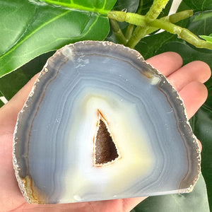 Agate Base Cut Geode | Grounding, Balance & Druzy Crystal Beauty