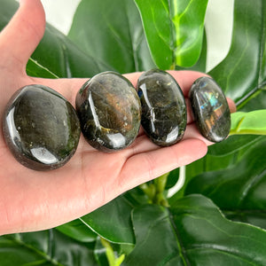 Labradorite Tumble (High Quality)- Intuitively Chosen