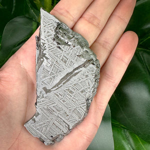 Muonionalusta Meteorite Slice 77g | Natural Iron Meteorite