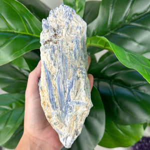 Blue Kyanite in Matrix | Communication, Alignment & Calm
