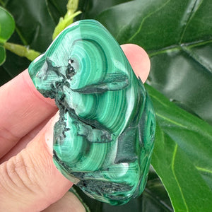 Premium Malachite Crystal | Protection, Confidence & Heart Healing