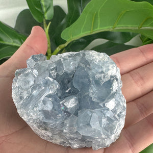Celestite Cluster “Rainbow Portal”