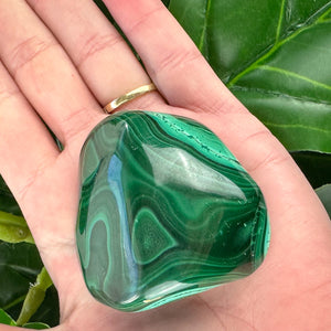 Premium Malachite Polished Crystal | Protection & Transformation