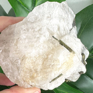 Epidote Included Quartz Crystal | Healing, Grounding & Energy Clearing