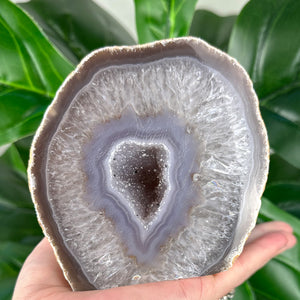 XL Agate Druzy Geode | Luxury Statement Crystal Décor
