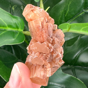 Aragonite Sputnik Crystal Cluster | Grounding, Stability & Earth Energy