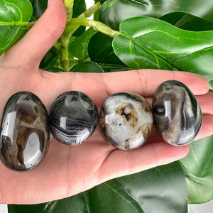 Black Onyx Tumble | Protection & Grounding | Strength Crystal