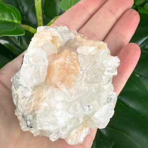 Apophyllite Cluster No.4 – Delicate Points & Soft Tones (180g)