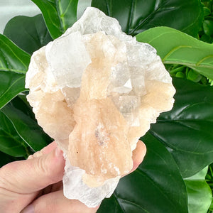 Apophyllite Cluster No.2 – Cube Structures & Peach Glow (312g)
