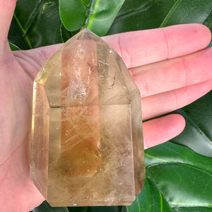 Natural Citrine Generator | Abundance, Confidence & Success Energy