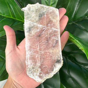 Natural Selenite Window | Cleansing, Peace & Angelic Energy