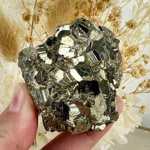 Golden Radiance: High-Quality Pyrite Cluster of Power