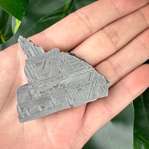 Muonionalusta Meteorite Slice 51g | Space Stone Specimen