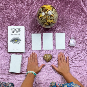 Wild Unknown Animal Spirit Oracle Readings by Jess
