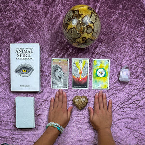 Wild Unknown Animal Spirit Oracle Readings by Jess