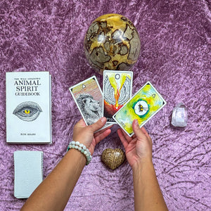 Wild Unknown Animal Spirit Oracle Readings by Jess