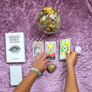 Wild Unknown Animal Spirit Oracle Readings by Jess