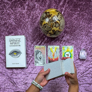 Wild Unknown Animal Spirit Oracle Readings by Jess