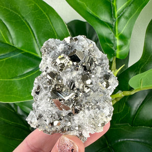 Small Clear Quartz With Pyrite- Choose Your Own