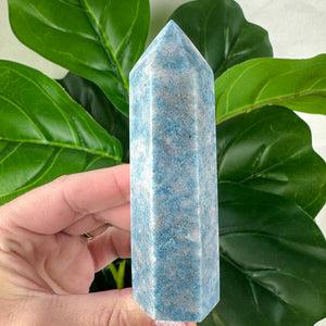 Trolleite Towers- Choose Your Own