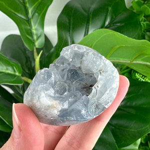 Celestite Cluster “Peaceful Glow”