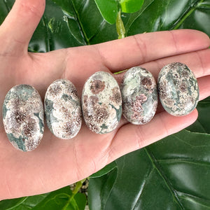 Flower Agate Tumble | Growth & New Beginnings | Self Discovery