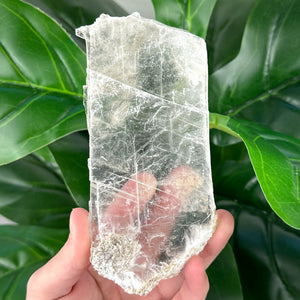 Natural Selenite Window | Cleansing, Peace & Angelic Energy