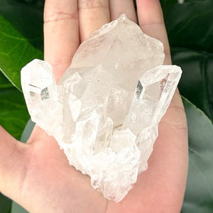 Clear Quartz Cluster | Natural Crystal | Clarity & Energy Amplification