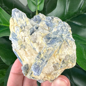 Raw Blue Kyanite Matrix Crystal | Calm & Communication
