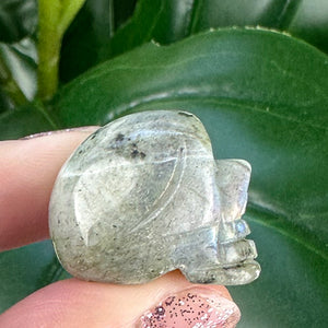 Mini Crystal Skulls | Choose Your Crystal | Spiritual Decor