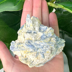 Raw Blue Kyanite Matrix Crystal | Calm & Communication