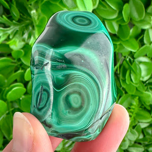 Polished Malachite Palm Stone | 77g | Deep Green Swirls for Emotional Strength & Healing