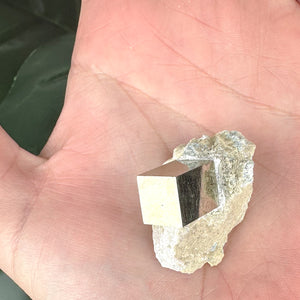 Pyrite in Marlstone Crystal Specimen | Abundance & Success