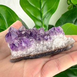 Amethyst Clusters- Choose Your Own
