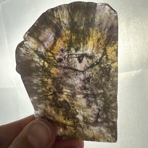 Super Seven Slab - Unique Collector's Piece