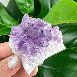 Amethyst Clusters- Choose Your Own