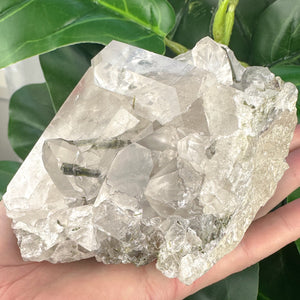 Large Epidote in Quartz Statement Piece | Growth & Manifestation