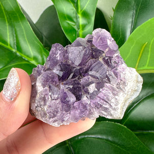 Amethyst Clusters- Choose Your Own