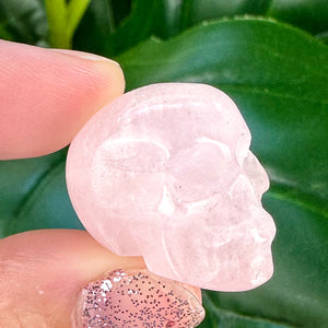 Mini Crystal Skulls | Choose Your Crystal | Spiritual Decor