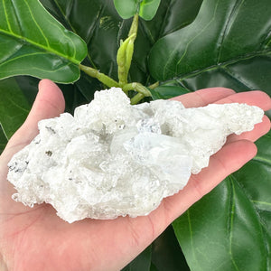 Apophyllite Cluster Crystal | Calm, Intuition & Spiritual Healing