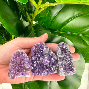 Amethyst Geode Freeforms- Choose Your Own