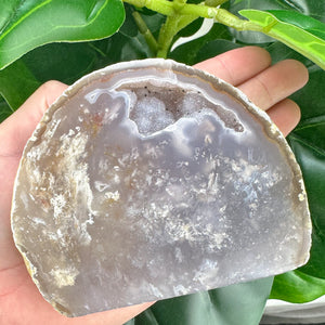 Premium Agate Geode | Natural Druzy Crystal Statement Piece