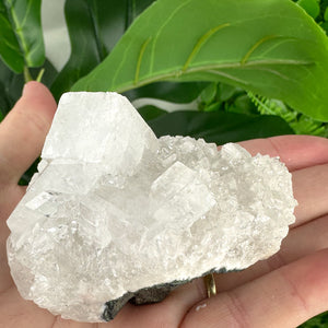 Apophyllite Cluster No.5 – Rainbow Cubes & Clarity (167g)
