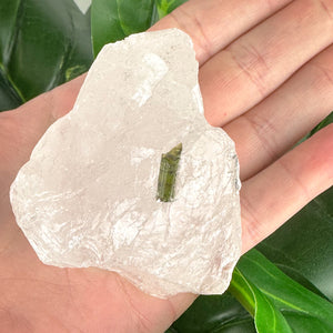 Epidote in Quartz Crystal | Grounding, Healing & Positive Energy