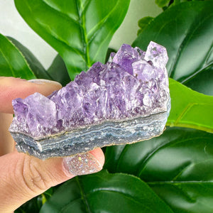 Amethyst Clusters- Choose Your Own