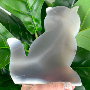 Agate Cat Slab