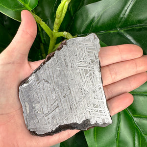 Muonionalusta Meteorite Slice 162g | Iron Meteorite Crystal