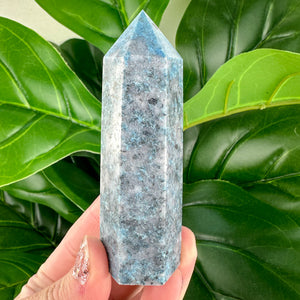 Trolleite Towers- Choose Your Own