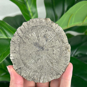 Large Pyrite Sun Crystal (103g), Raw Collector Mineral for Protection & Power