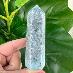 Trolleite Towers- Choose Your Own